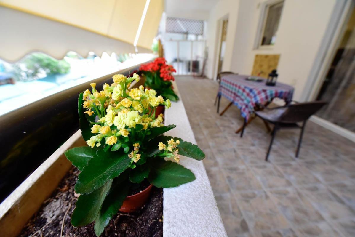Appartamento Athens Beauty 5 Minutes From Attractions Esterno foto
